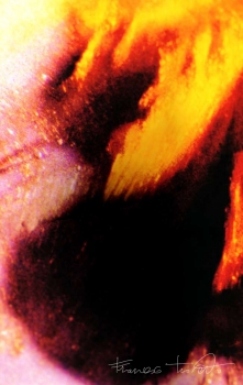 Memoria incombente, 1999